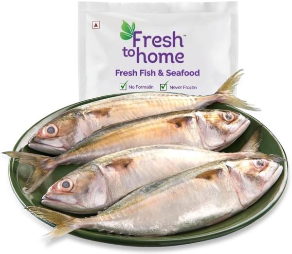 FreshToHome Mackerel/Ayala/Bangda/Aylai (5 to 9 Count/kg) | Whole | 480g to 500g Pack | Not Cleaned | Fresh | Never Frozen