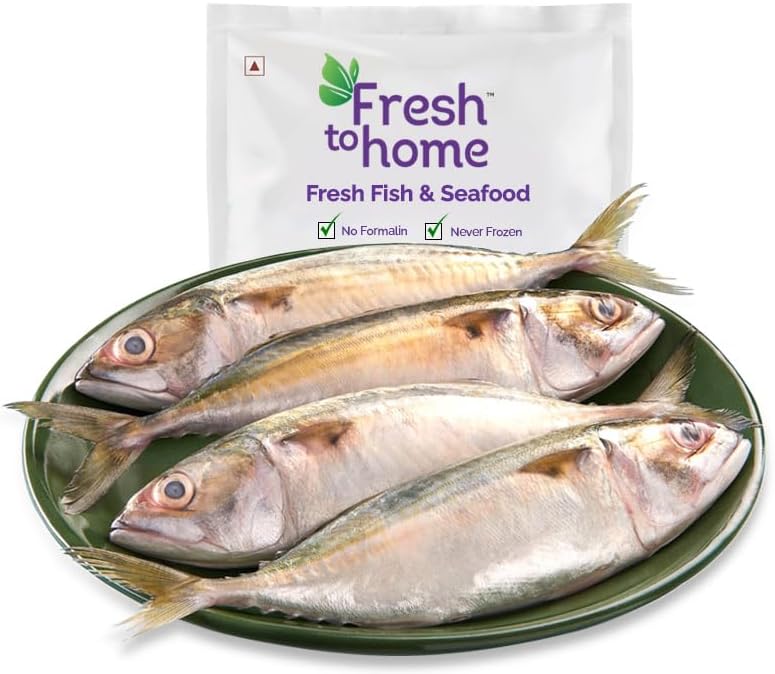 514FU3kkVhL FreshToHome Mackerel/Ayala/Bangda/Aylai (5 to 9 Count/kg) | Whole | 480g to 500g Pack | Not Cleaned | Fresh | Never Frozen - Image 1