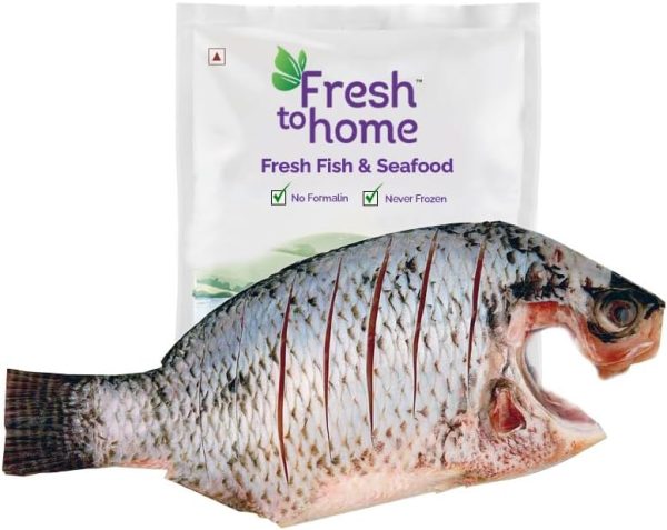 FreshToHome Tilapia/Jalebi Fish (Large) | Whole Cleaned | 480g to 580g Pack | Fresh | Never Frozen