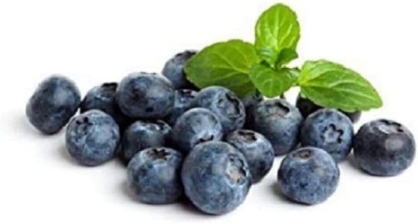 Fresh Blueberry Premium, 125 g Pack