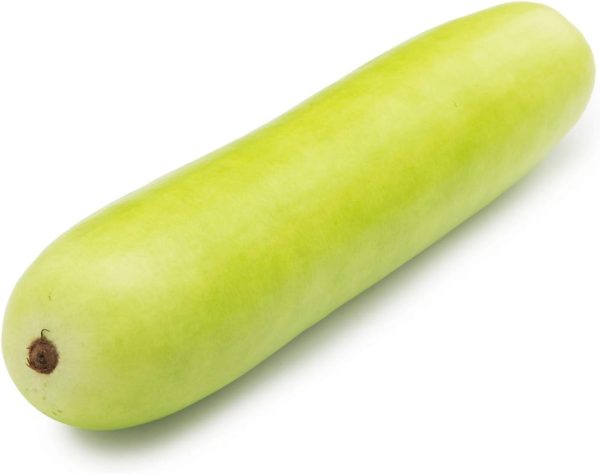 Fresh Bottle Gourd (Doodhi) - 1 Piece (Approx.500-800g)