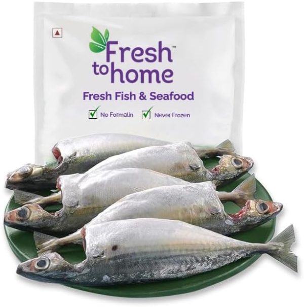 FreshToHome Mackerel/Ayala/Bangda/Aylai (5 to 9 Count/kg) | 480g to 550g Pack | Whole Cleaned, Includes Head Pieces | Fresh | Never Frozen