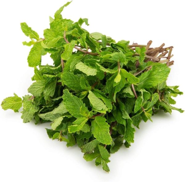 Fresh Mint Leaves, 100 grams