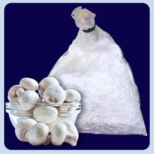 Organico Button Mushroom Spawn Seed (200 gm + 2PP Grow Bags + Instruction) - First Generation White Mycelium Button Mushroom Spawn for Home Garden Agaricus bisporus Variety